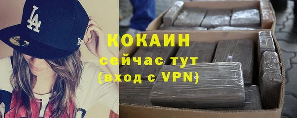 МДПВ Алексин