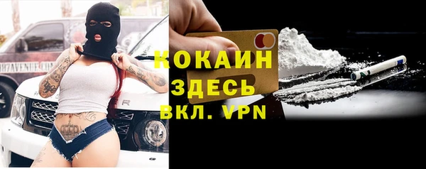 МДПВ Алексин