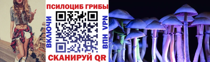 Псилоцибиновые грибы Psilocybine cubensis  Череповец 